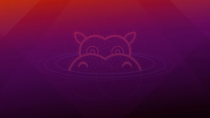 Ubuntu 21.04 Hirsute Hippo