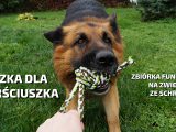 Puszka Sierściuszka - Zbiórka charytatywna na zwierzęta w schronisku