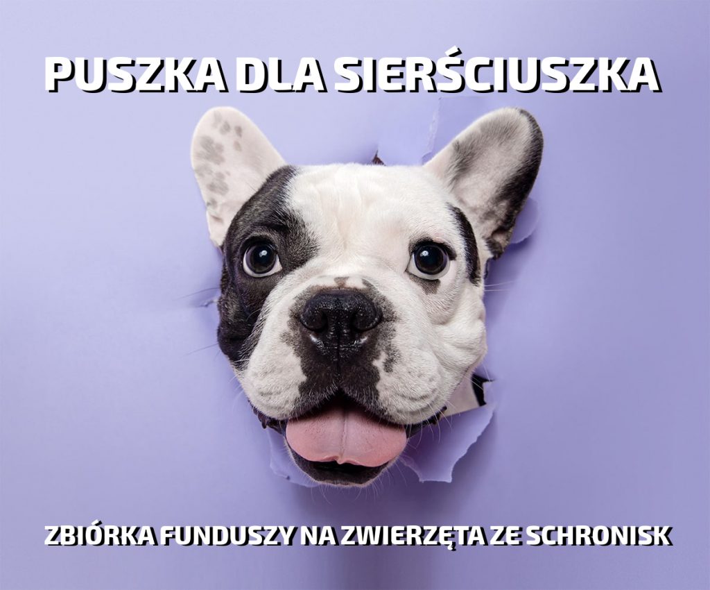 Puszka Sierściuszka - Zbiórka charytatywna na zwierzęta w schronisku